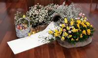 Buona Pasqua~