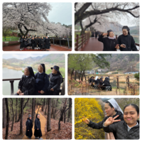 본원 엠마오 (4.6)